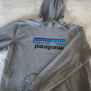 Patagonia hoodie